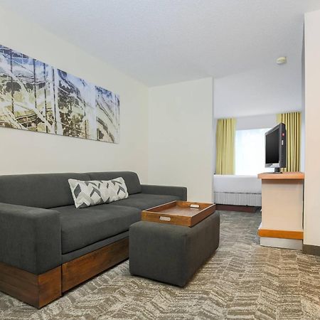 Springhill Suites By Marriott Houston Brookhollow Exterior photo
