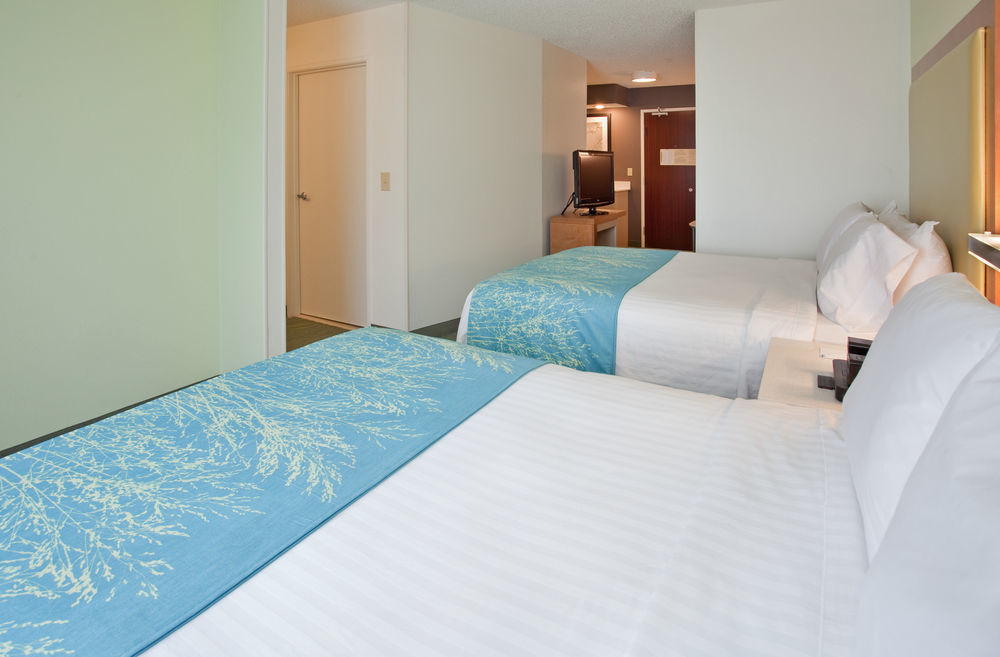 Springhill Suites By Marriott Houston Brookhollow Exterior photo
